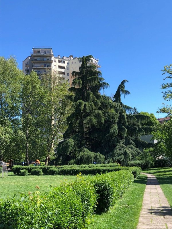 appartamento in affitto a Milano in zona Famagosta