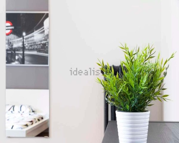 appartamento in affitto a Milano in zona Città Studi