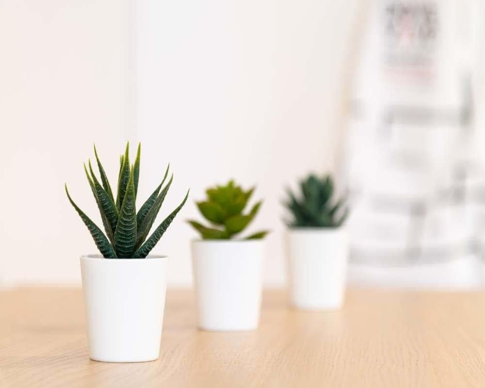 immagine annuncio 0 di 6