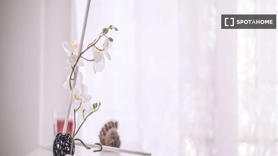 appartamento in affitto a Milano in zona Guastalla