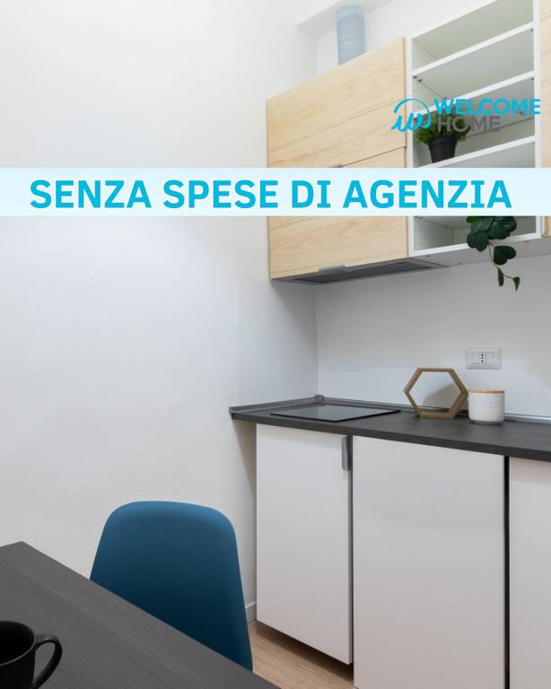 appartamento in affitto a Milano in zona Città Studi