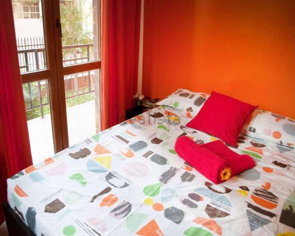 appartamento in affitto a Milano in zona Città Studi