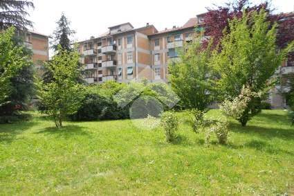 appartamento in affitto a Milano in zona Gallaratese