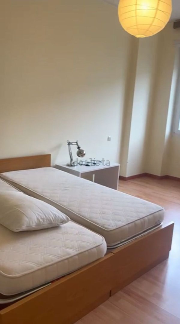 appartamento in affitto a Milano in zona Città Studi