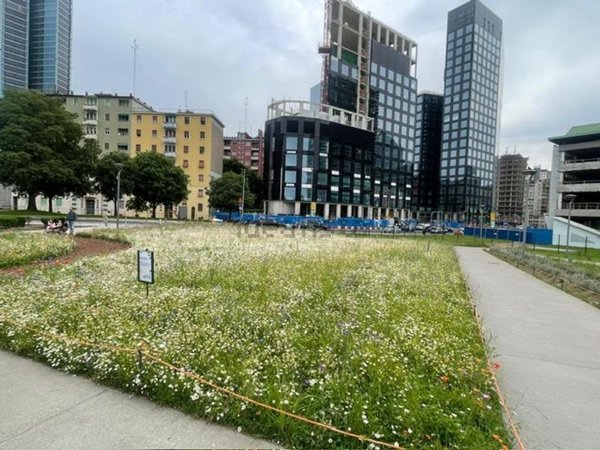 appartamento in affitto a Milano in zona Isola