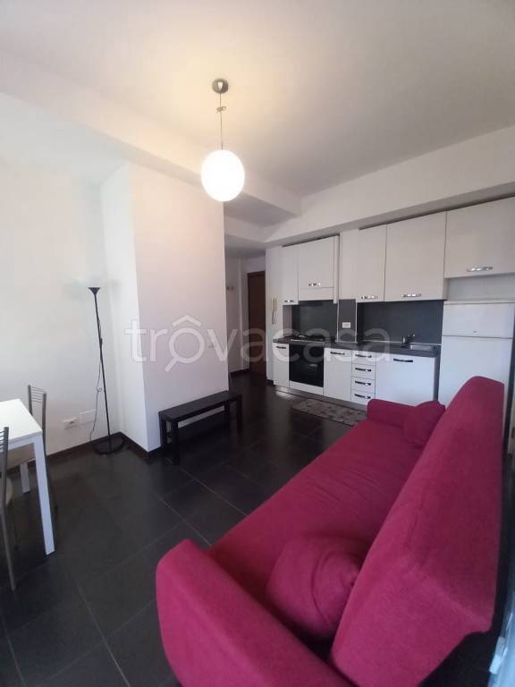 appartamento in affitto a Milano in zona Città Studi