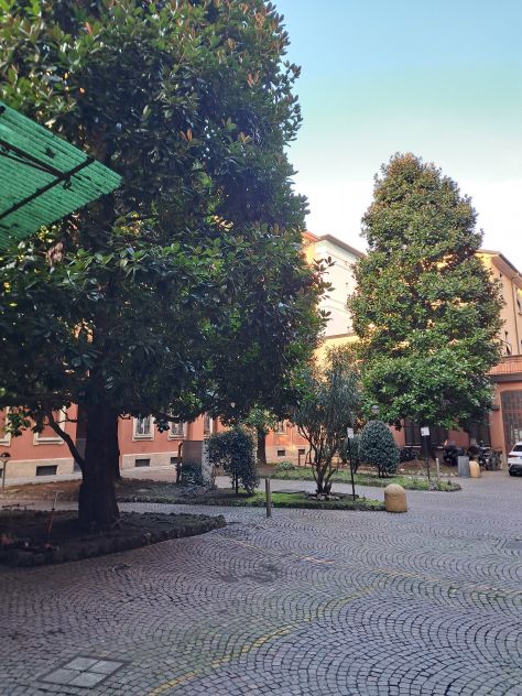 appartamento in affitto a Milano in zona Affori