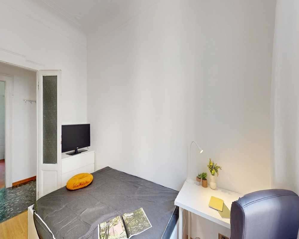 negozio in affitto a Milano in zona Città Studi