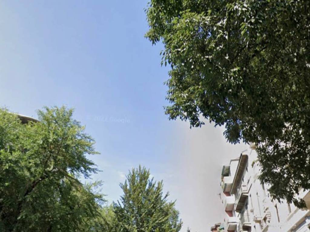 appartamento in affitto a Milano in zona Città Studi
