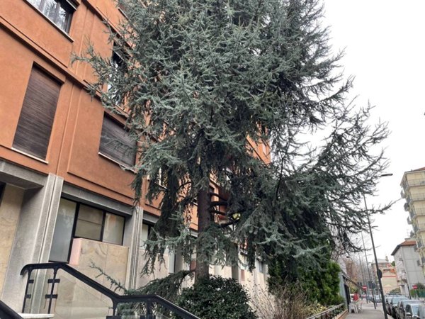 appartamento in affitto a Milano in zona Solari