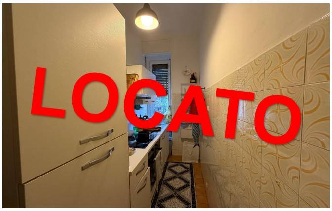 appartamento in affitto a Milano in zona Città Studi