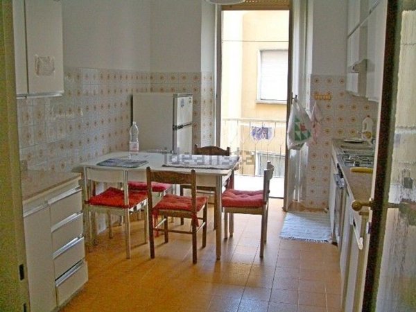 appartamento in affitto a Milano in zona Città Studi