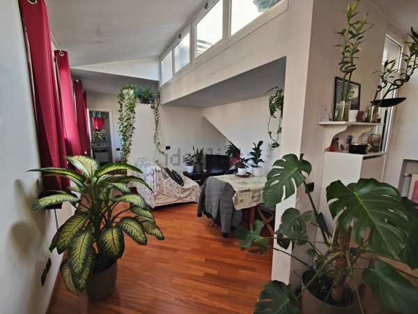 appartamento in affitto a Milano in zona Città Studi