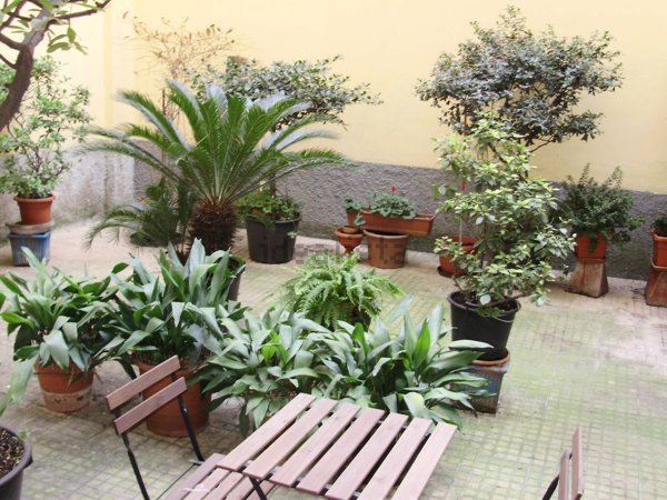 appartamento in affitto a Milano in zona Sempione