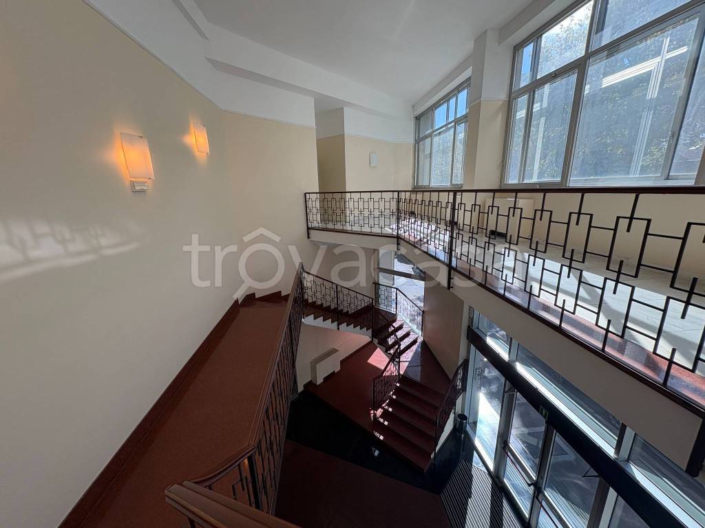 immagine annuncio 0 di 15