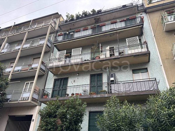 appartamento in affitto a Milano in zona Città Studi
