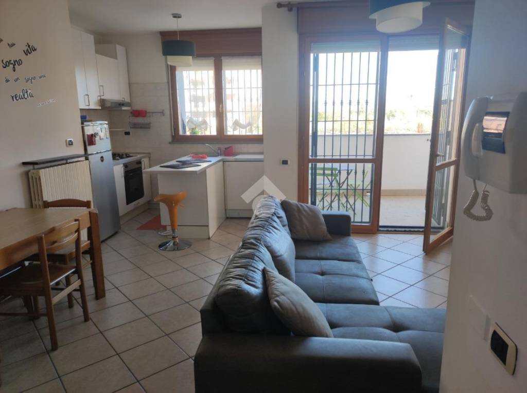 appartamento in affitto a Milano in zona Città Studi