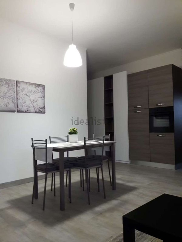 appartamento in affitto a Milano in zona Città Studi