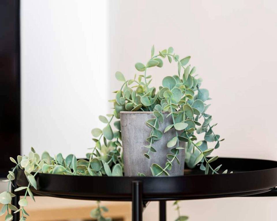 appartamento in affitto a Milano in zona Corvetto