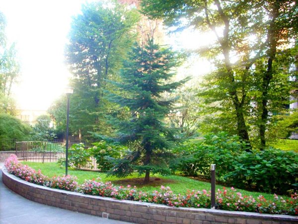 ufficio in affitto a Milano in zona Solari