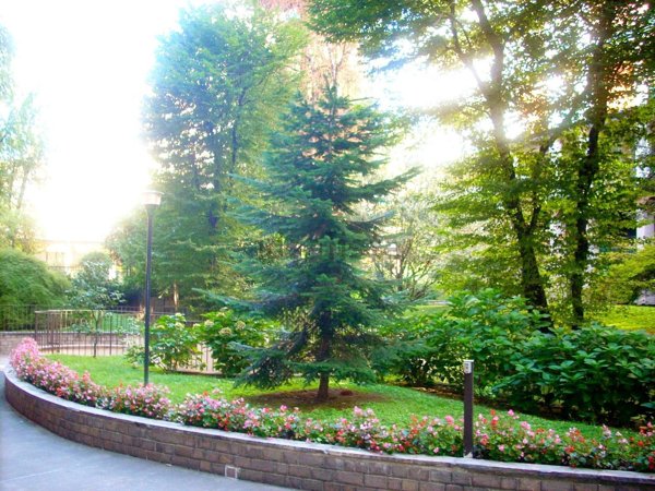 ufficio in affitto a Milano in zona San Vittore