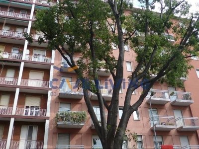 appartamento in affitto a Milano in zona Famagosta