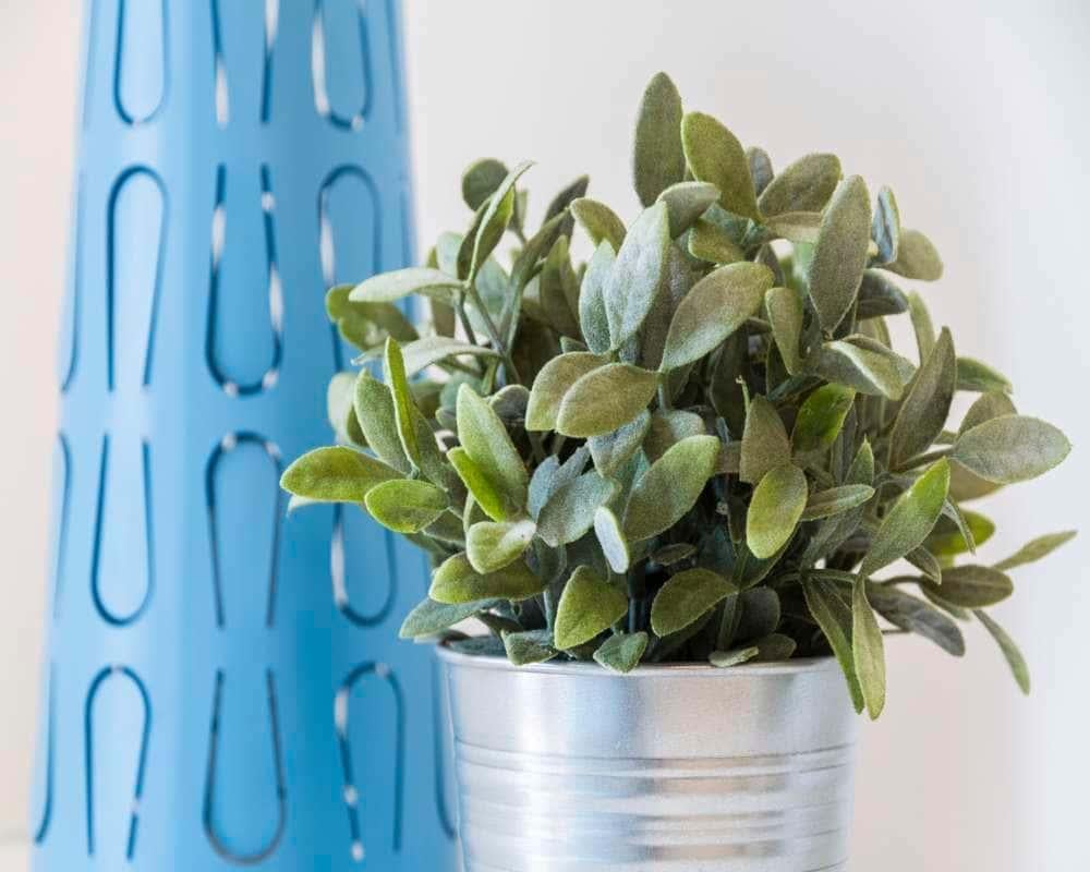 negozio in affitto a Milano in zona Cagnola