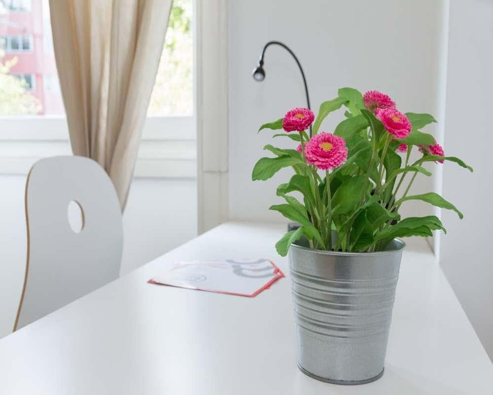 negozio in affitto a Milano