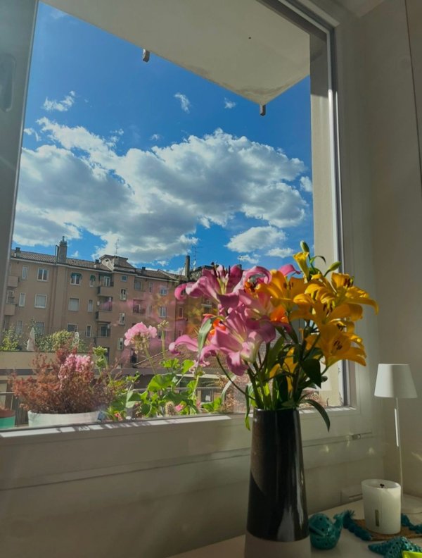 appartamento in affitto a Milano in zona Lambrate