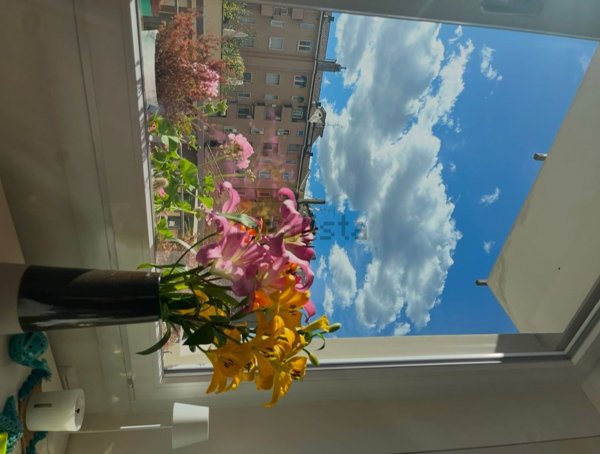 appartamento in affitto a Milano in zona Lambrate