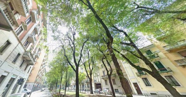 appartamento in affitto a Milano in zona Sempione