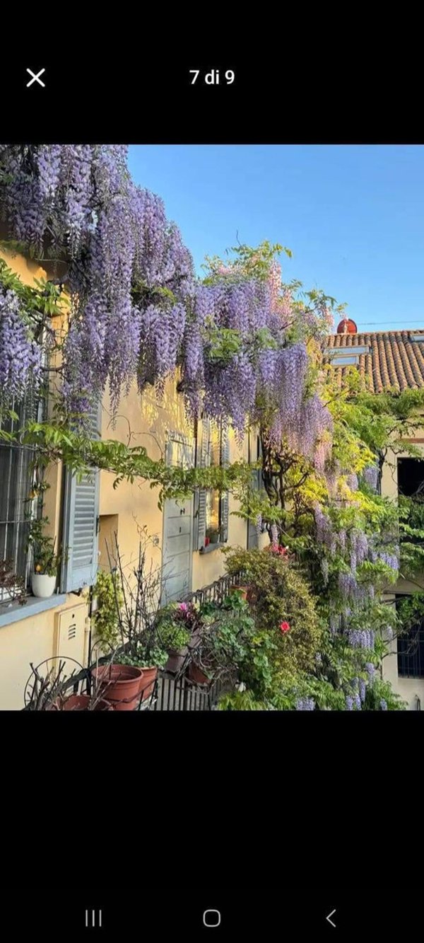 appartamento in affitto a Milano in zona Solari