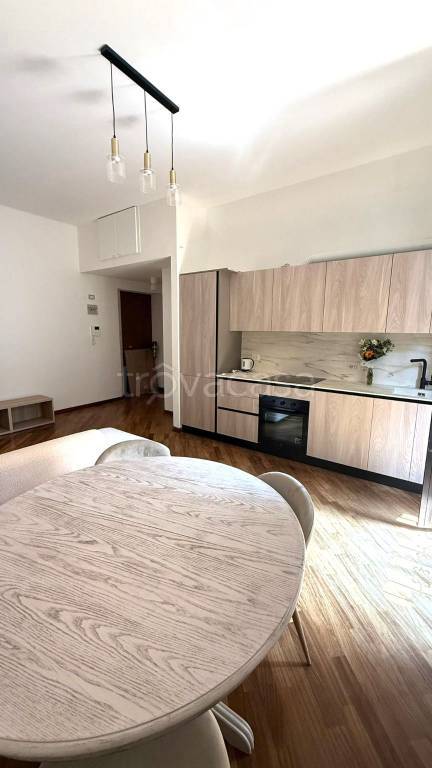 appartamento in affitto a Milano in zona Rembrandt