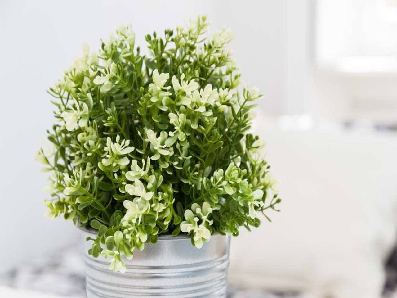 negozio in affitto a Milano in zona Brera