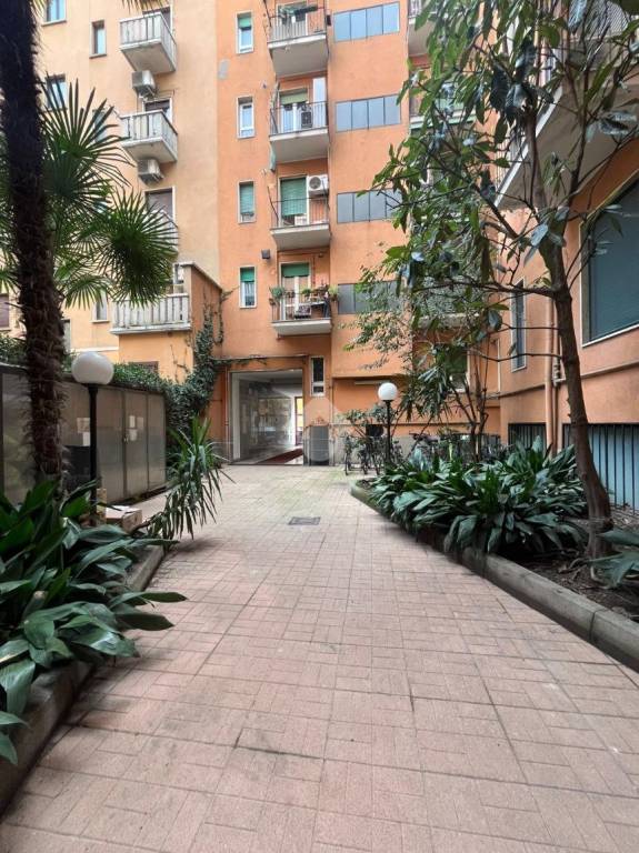appartamento in affitto a Milano in zona Città Studi