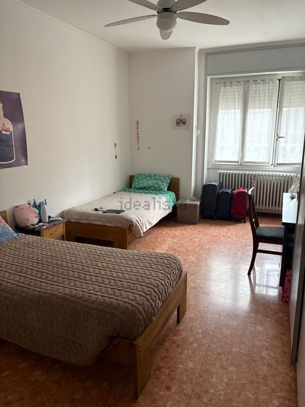 appartamento in affitto a Milano in zona Città Studi