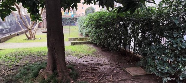 appartamento in affitto a Milano in zona Solari