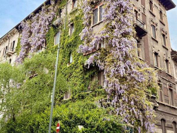 appartamento in affitto a Milano in zona Centro Storico
