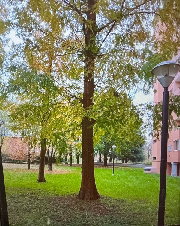 appartamento in affitto a Milano in zona Ronchetto sul Naviglio