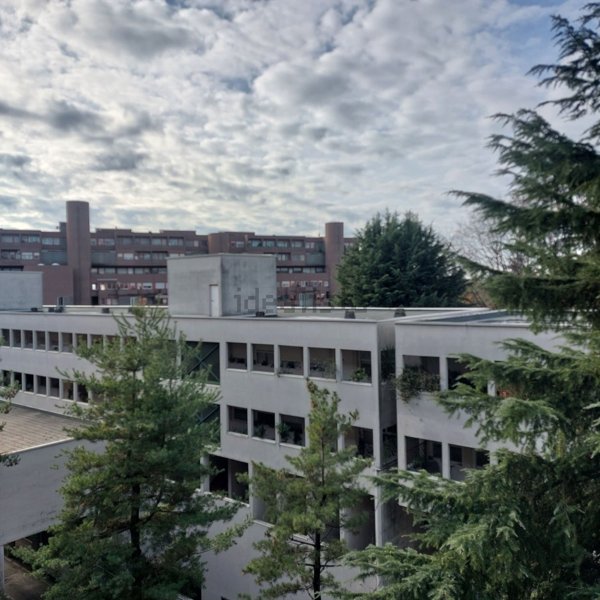 appartamento in affitto a Milano in zona Gallaratese