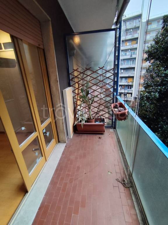 appartamento in affitto a Milano in zona Maggiolina