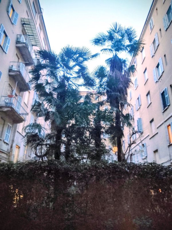 appartamento in affitto a Milano in zona Cinque Giornate