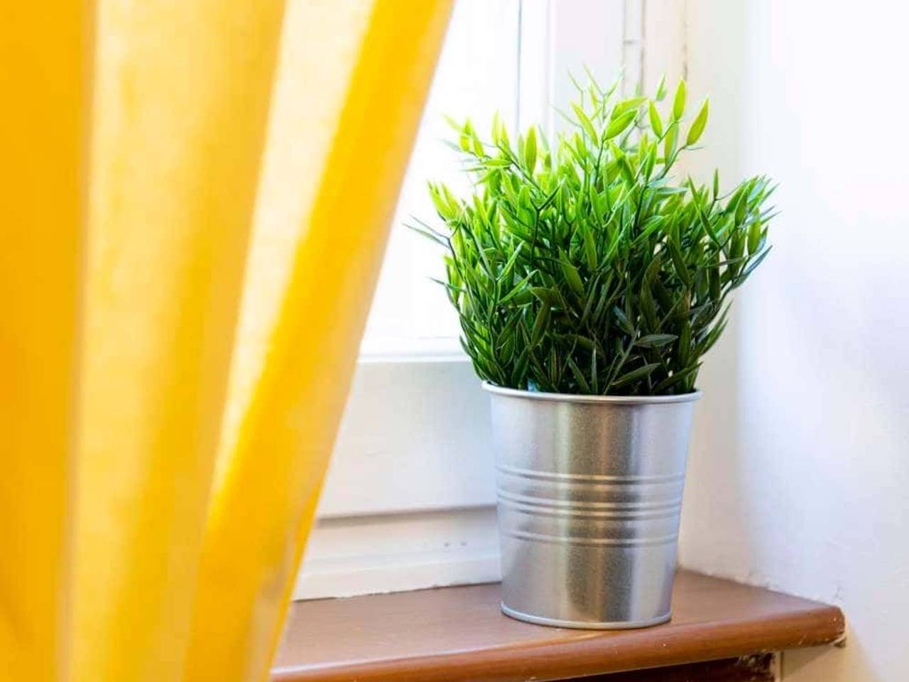 negozio in affitto a Milano in zona Affori