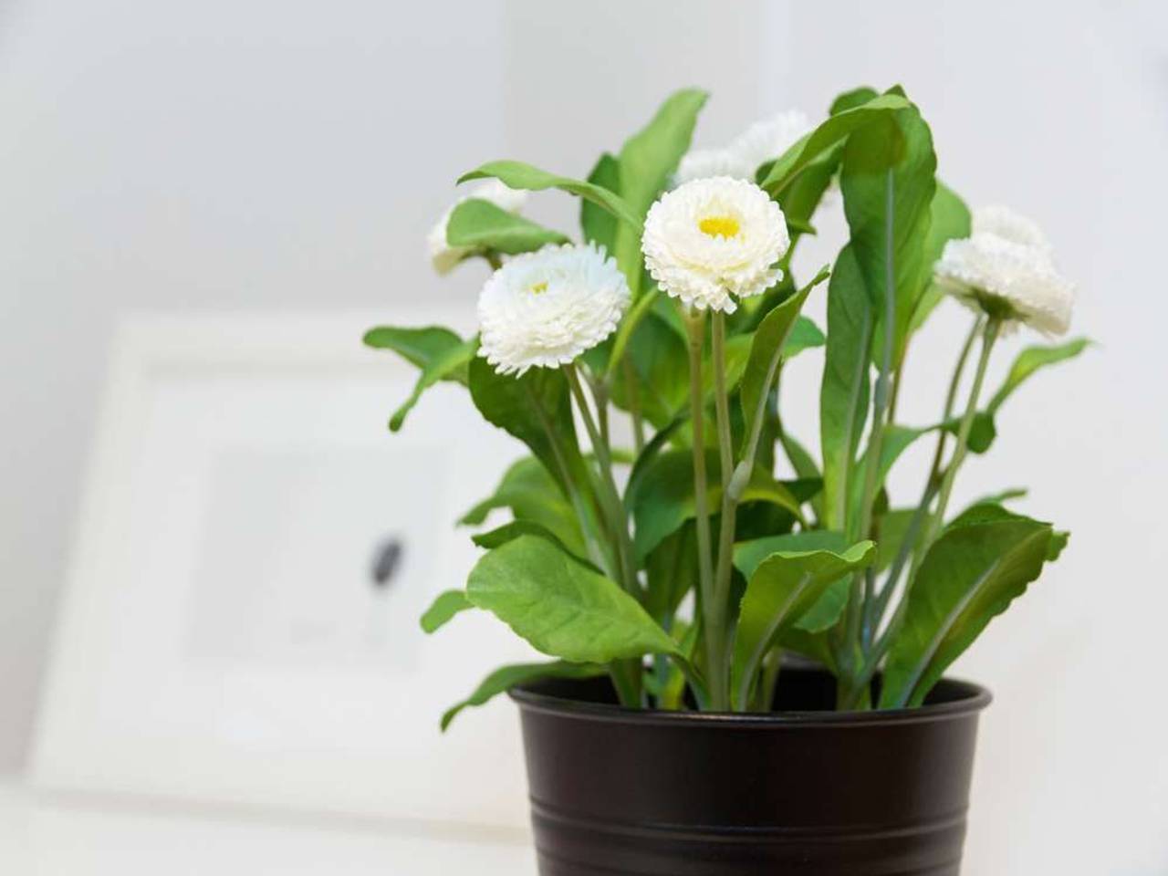 negozio in affitto a Milano in zona Lorenteggio