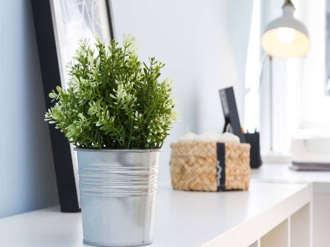 negozio in affitto a Milano in zona Sant'Ambrogio