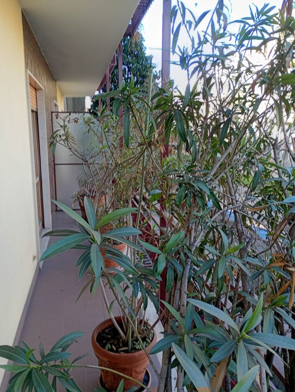 ufficio in affitto a Milano in zona Bocconi