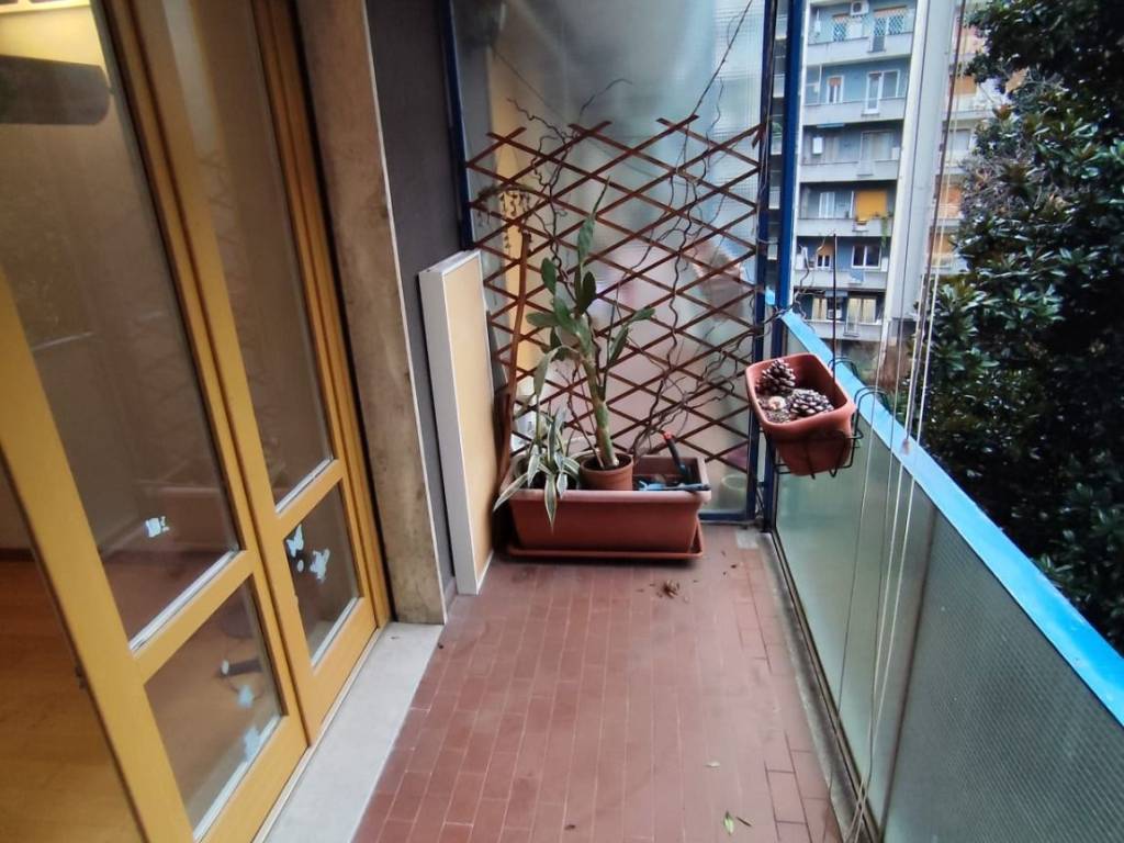 appartamento in affitto a Milano in zona Maggiolina