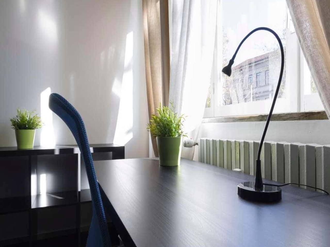 negozio in affitto a Milano in zona Città Studi