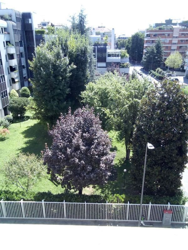 appartamento in affitto a Milano in zona Cinque Giornate