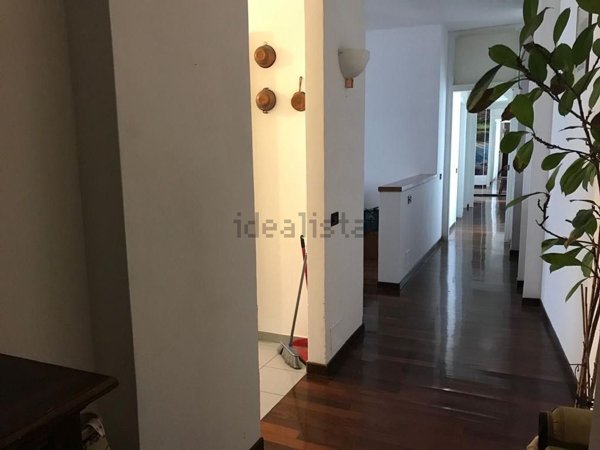 appartamento in affitto a Milano in zona Maggiolina